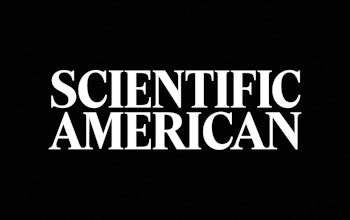 01 Logo Animation Copy