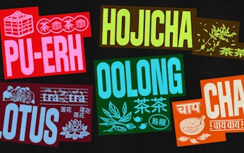 Chacha Website 1 Copy