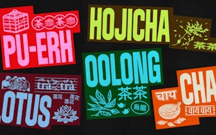 Chacha Website 1 Copy