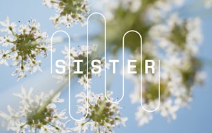 Hp Sister Cover Image 01