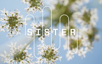 Hp Sister Cover Image 01