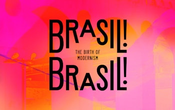 Mw Brasilbrasil Cover